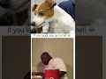 Sorry, I Tried #funnyvideos #viral #trynottolaugh #fyp #funnyclips #funnyreels #funny