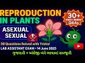 Reproduction in Flowering Plants | 30+ Q&amp;A | Lab Assistant Exam 2025 Revision | GSSSB