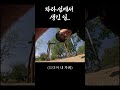 자라섬에서 생긴일 #가평 #자라섬