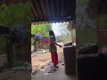Lagase var pan aavase maja 😁😂 #Shorts #YouTubeShorts #Viral #Trending #FYP #Explore#YouTube