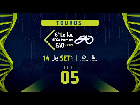 LOTE 05