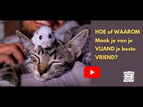 Video: Hoe Maak Je Een Vriend Van Een Vijand?