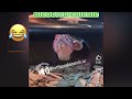 When someone leaves silly comments! #snake #funny