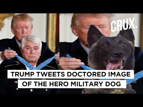 trump-tweets-photoshopped-image-of-him-honouring-military-dog-'conan'