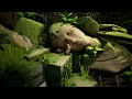 DEMO FEST - MOSS: THE FORGOTTEN RELIC (PC GAMEPLAY ONLY)