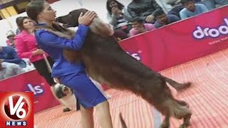 Petex Expo 2016 Ends | Different Breeds OF Dogs Attracts People | Hyderabad | V6 News