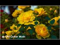 Enjoy Soothing Relaxing Music - The Best Relaxing Acoustic Guitar Playlist