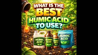 Kelp4less Podcast 82 - What Is The Best Humic Acid To Use?