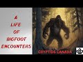 EPISODE 563 A LIFE OF BIGFOOT ENCOUNTERS