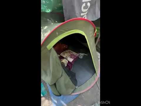 Алматы және Қызылорда облыстарында екі ірі есірткі притоны жойылды