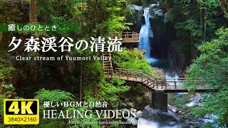 [เพลงบำบัดและเสียงที่เป็นธรรมชาติ] ทัศนียภาพอันงดงามของญี่ปุ่น |. หุบเขายูโมริและความเขียวขจี