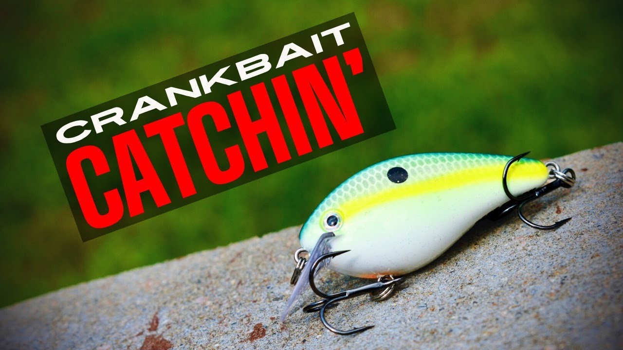 Throwing a Crankbait to Catch Fish | Bass Fishing
