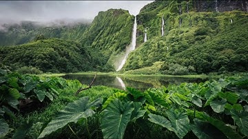 Surah Al Ikhlas  Faris Abbadسورة الإخلاص  فارس عباد