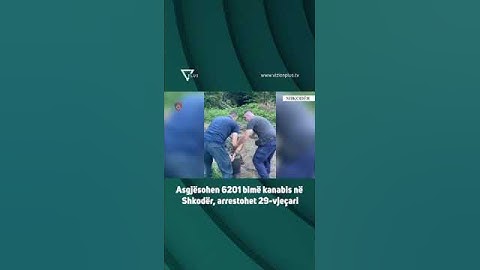 Asgjësohen 6201 bimë kanabis në Shkodër, arrestohet 29-vjeçari