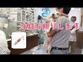 病院が大嫌いなビーグル犬モモ、注射の前のドタバタでプードルくんを呆れさせる