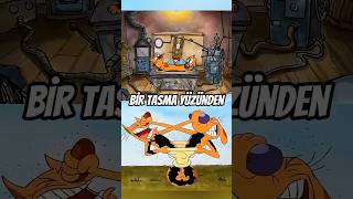 Kedi Ve Köpek Tasma Yüzünden Tartışmaya Girdiler.