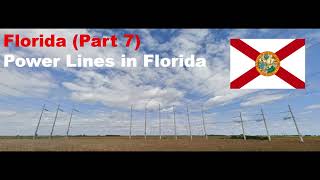 Power Lines in Florida (Part 7)
