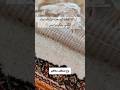 ازاله البقع الصعبه من السجاد او الكنب بمكونين فقط نظافة ترتيب سجادة Shortvideo تيك توك Shorts