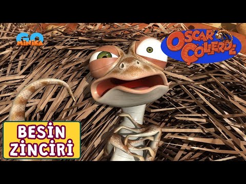 Oscar Çöllerde🦎 | Besin Zinciri | Minika