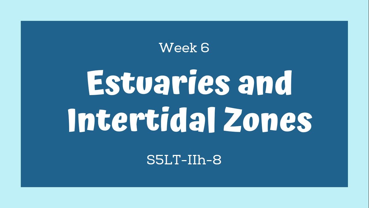 grade 5 science melc based quarter 2 lesson 6 estuaries and intertidal zones youtube