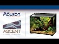 Aqueon  ascent frameless aquarium kit  modern fish tank