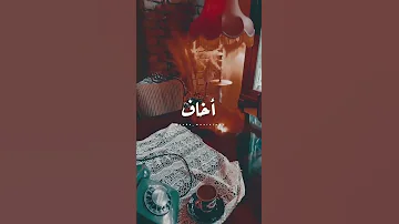 إبتديت دلوقت بس أحب عمري ام كلثوم حالة واتس 