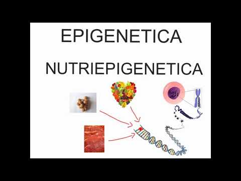 Video: Polifarmacologia Epigenetica: Dalla Terapia Di Combinazione A Farmaci Multi-target