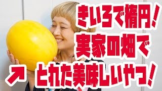 【大食い】皮が黄色い楕円のスイカ！まるごと1個！【ロシアン佐藤】