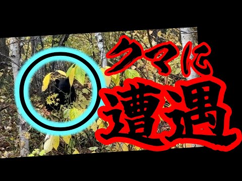 心霊のロケハンに行ったらガチでクマが居た‼︎