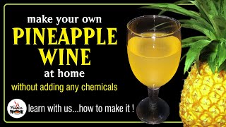 How to make PINEAPPLE WINE at home | Homemade Wine | Fruit Wine