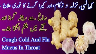 Balgam ka ilaj | Mucus In Throat | Nazla Zukam Ka ilaj | Cough Cold And Flu