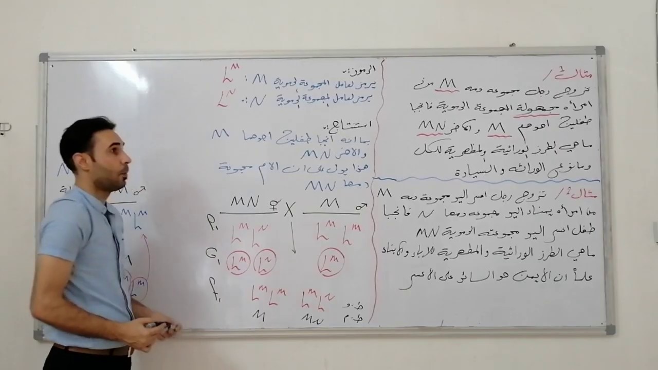 الوراثة ما بعد مندل (السيادة المشاركة)