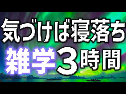 【眠れる男性の声】気づけば寝落ちの夜に聞きたい雑学朗読3時間【睡眠用・寝ながら聴ける】