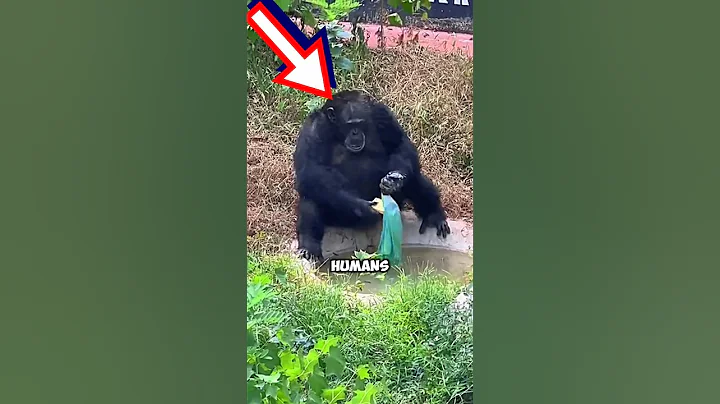 I can't believe he actually washed some ones cloth #shorts