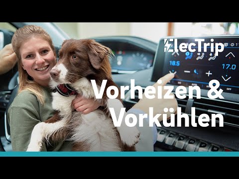 Video: Was bedeutet vorgekühlt?