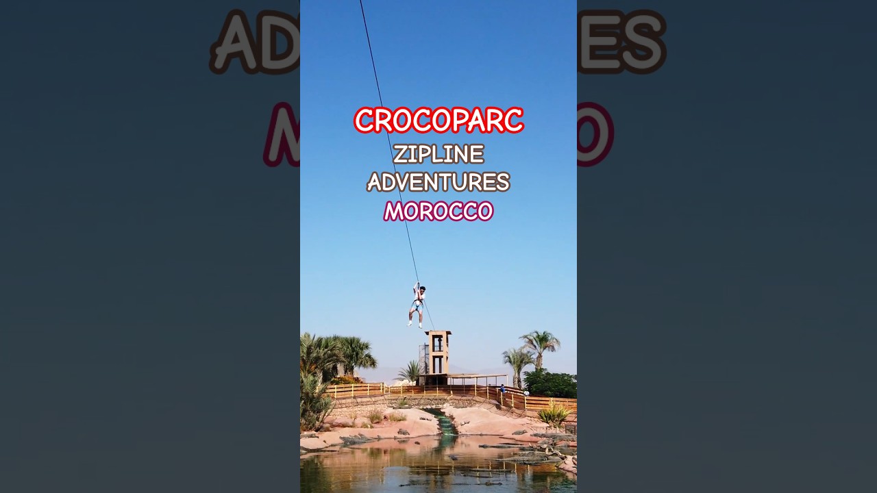 Crocoparc Agadir Morocco Shorts