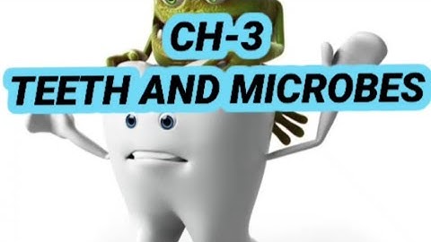 Ch-3 "Teeth and microbes" (part 1) class 4