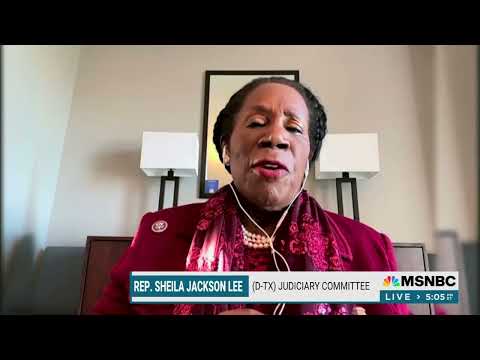 Dem Rep Sheila Jackson Lee: It's "Well Documented That Words Nowadays Can Actually Break Your Bones"