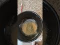 I Quit Kratom Here S How Much I Was Taking I Quit Kratom Here S How Much I Was Taking