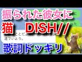 【歌詞ドッキリ】猫-DISH//で友達にLINEドッキリしたら...