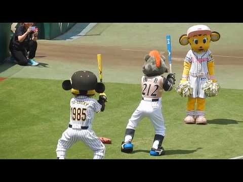 阪神タイガース2019/トラッキーがB・Bさんのスタメンモノマネをまねてみる（2019.06.09)