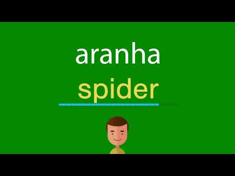 Como dizer aranha em inglês