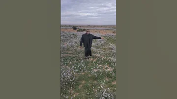 نشيد يا من عصيت الله يوما غافلا نسيت ان الله قد اعطاك اجواء الطبيعه 