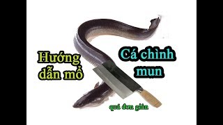 Top 11 Cách Làm Gỏi Cá Chình Hay Nhất Năm 2022