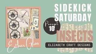 Sidekick Saturday 1O - Insects- 2024 prompts with Esther - Elizabeth Craft Designs