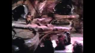 Incubus Oil and Water