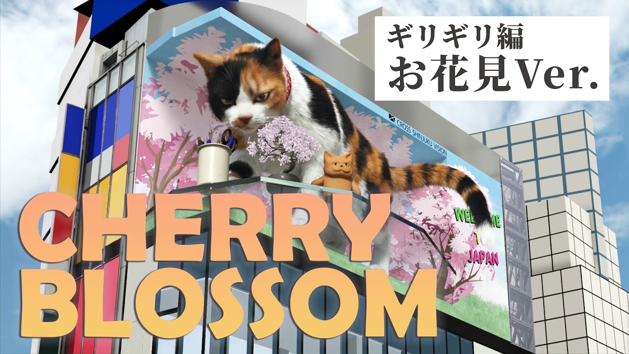 新宿東口の猫『ギリギリ編 お花見Ver.』 - YouTube