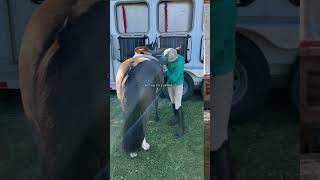 ignore the hair in the first part i woke up at 3am for this show.