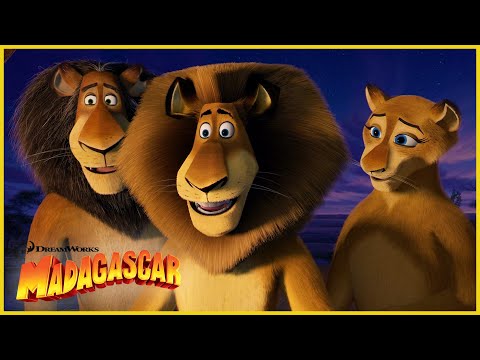 Desde Madagascar hasta las profundidades de África. | DreamWorks Madagascar en Español Latino