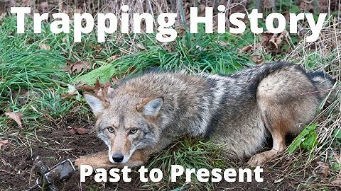 Fur Trapping History - Then to Now